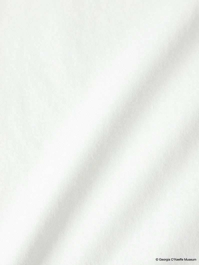 ジョージア・オキーフ ティー（No,3） 詳細画像 white 4