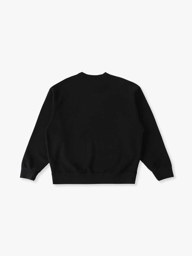 NFL スウェット プルオーバー（Philadelphia Eagles） 詳細画像 black 1