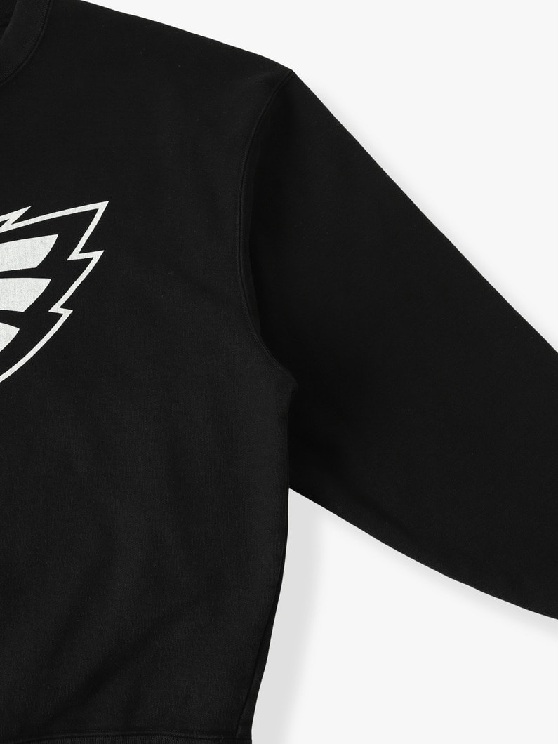 NFL スウェット プルオーバー（Philadelphia Eagles） 詳細画像 black 2