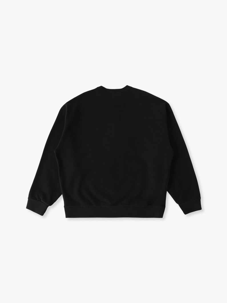 NFL スウェット プルオーバー（Las Vegas Raiders） 詳細画像 black 1