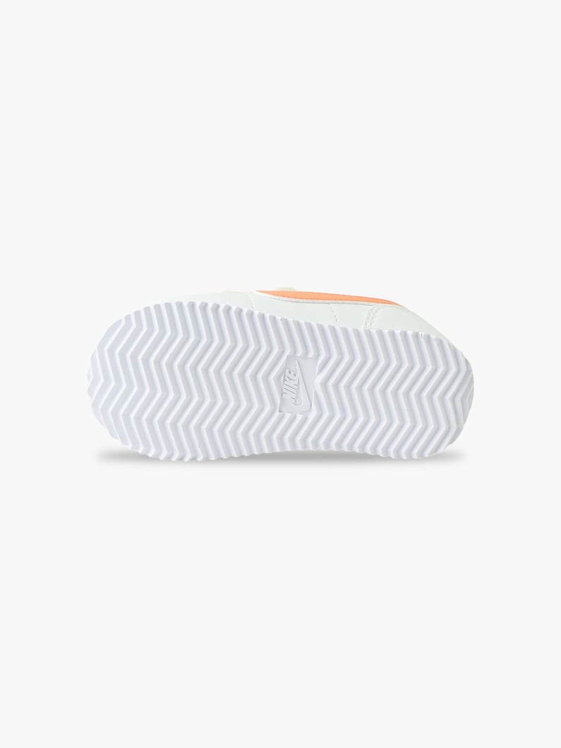 コルテッツ(オレンジ/グリーン/10-16cm)  詳細画像 orange 3