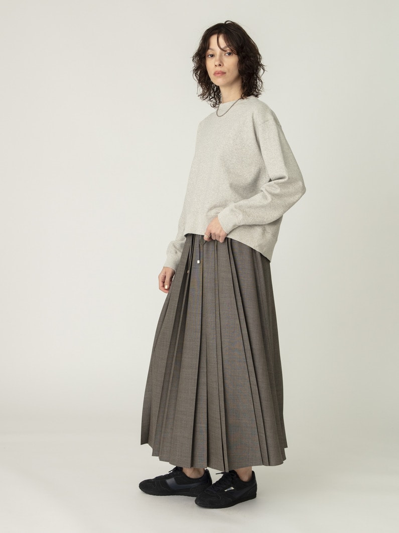 ドライシャンブレー スカート 詳細画像 light brown 2