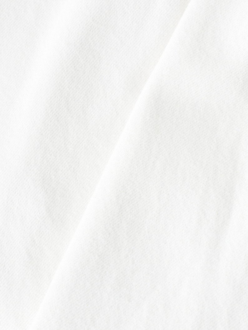 ペインター デニムパンツ 詳細画像 black 5