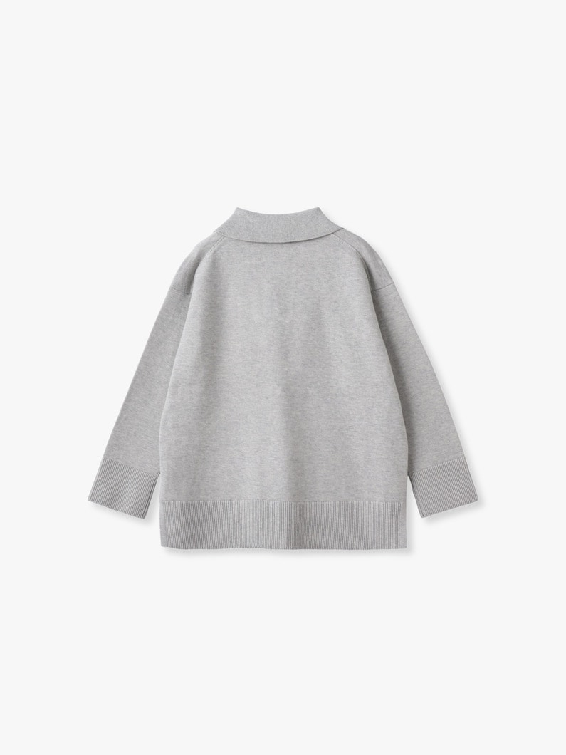 ポロカラー ニットプルオーバー 詳細画像 gray 1