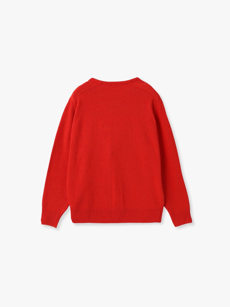 ウォッシュド シルク ネップ ニット プルオーバー 詳細画像 red 1
