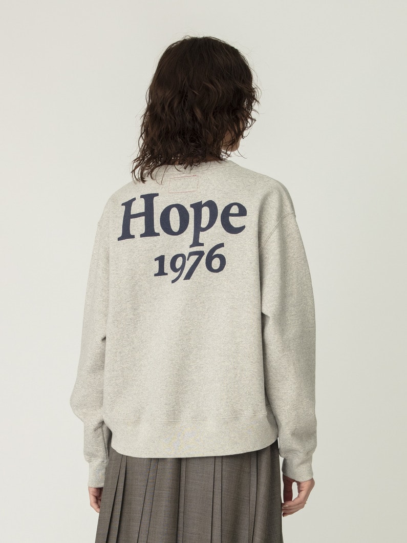 ホープ スウェット プルオーバー 詳細画像 top gray