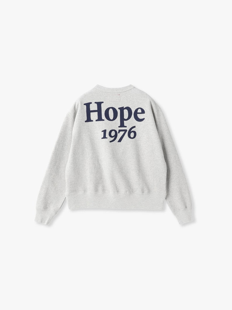 ホープ スウェット プルオーバー 詳細画像 top gray 4