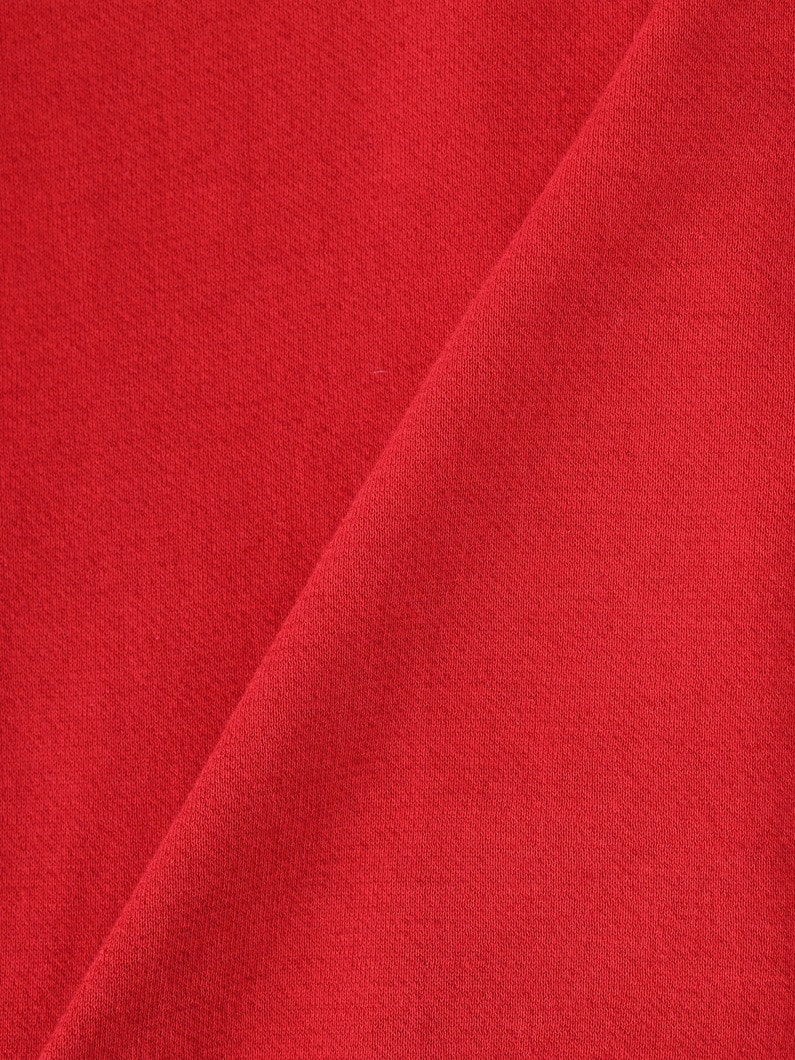 ハイツイスト ライト ジップ フーディー 詳細画像 red 4