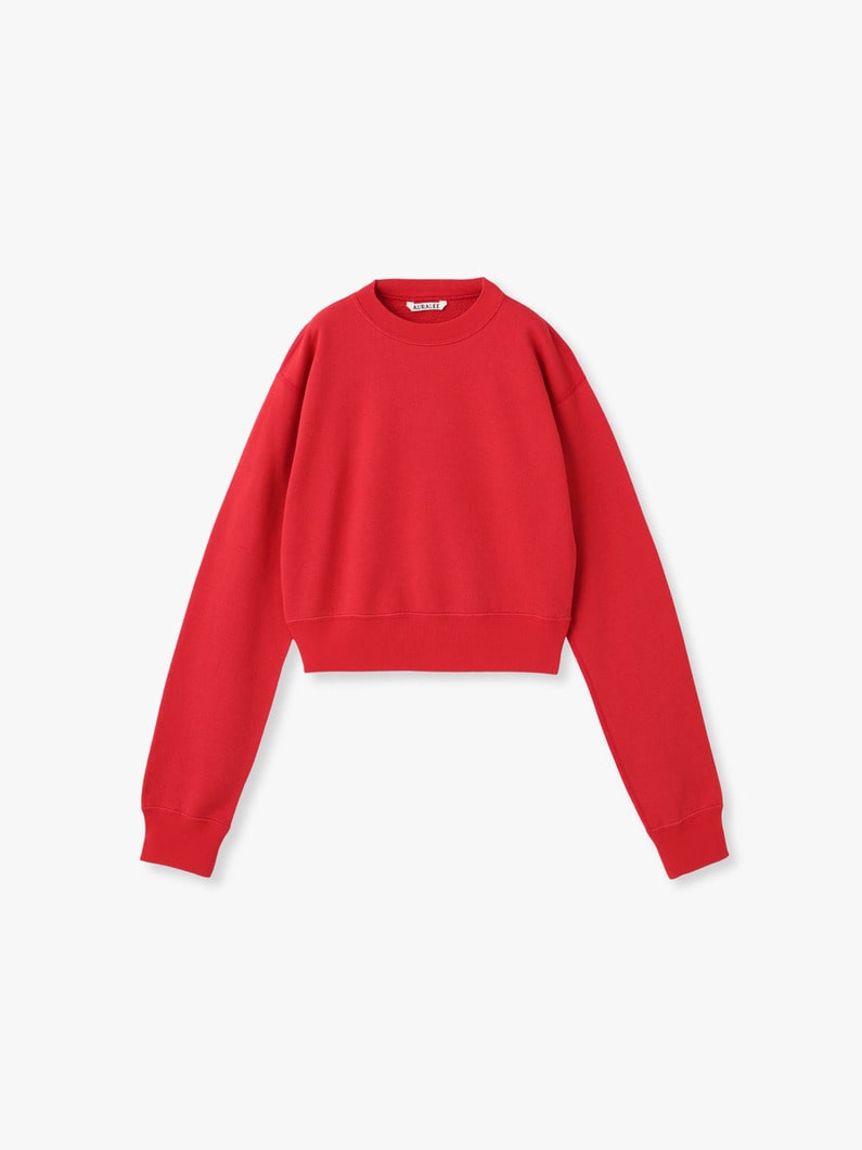 ハイツイスト ライト スウェト プルオーバー 詳細画像 red 1