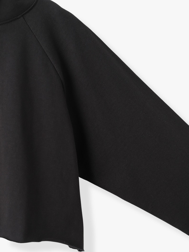 スーパーアメリカンドライコットン  フーディー 詳細画像 white 2