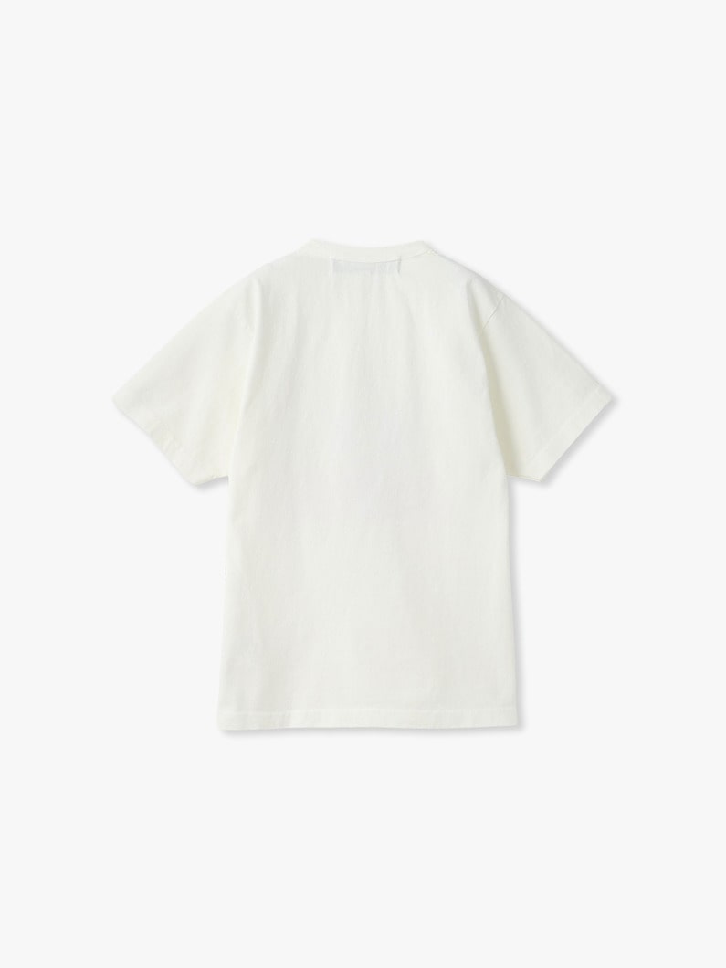 カントリー ティー（フランス/イタリア/ギリシャ） 詳細画像 multi 1