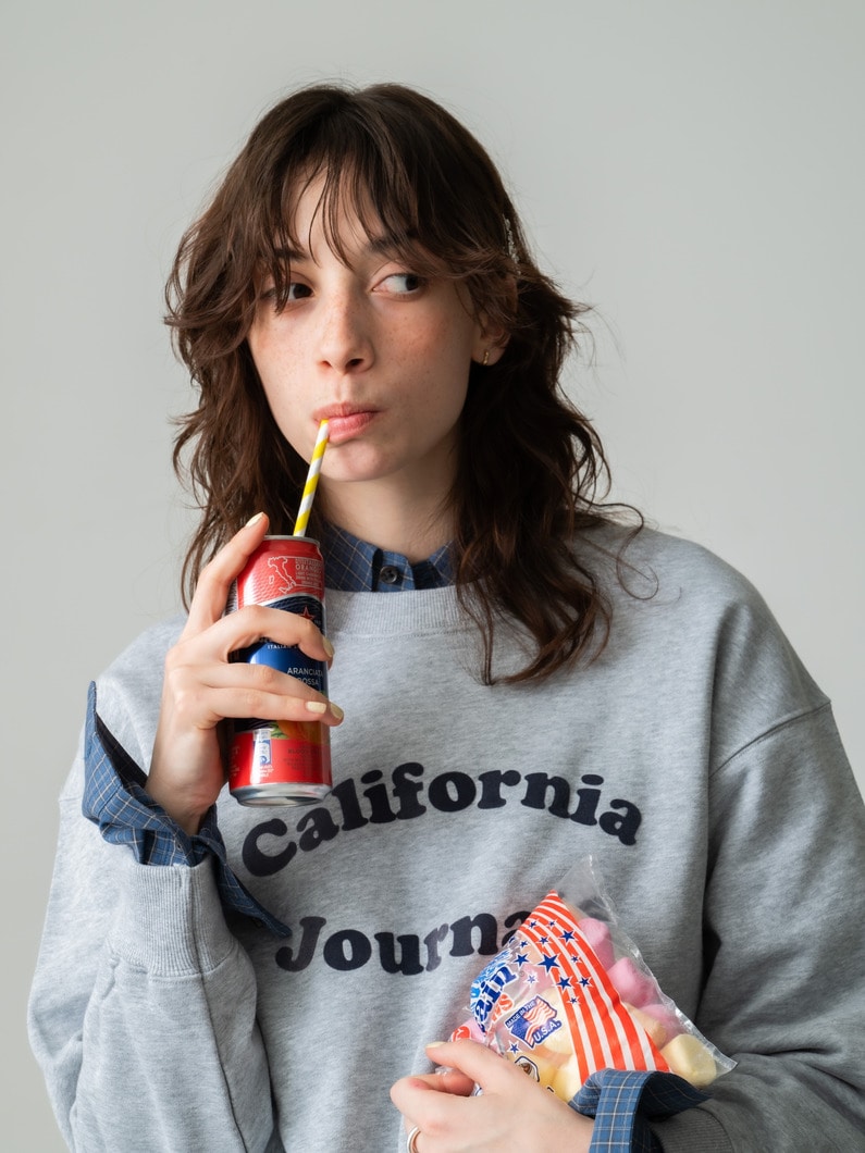 カリフォルニア ジャーナル スウェット プルオーバー 詳細画像 gray 4