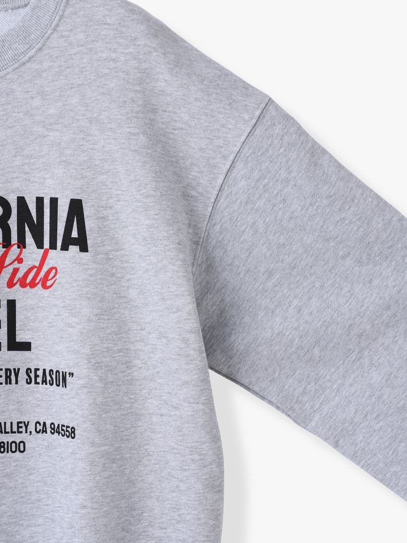 カリフォルニア ヴァリー ホテル スウェット プルオーバー 詳細画像 gray 2