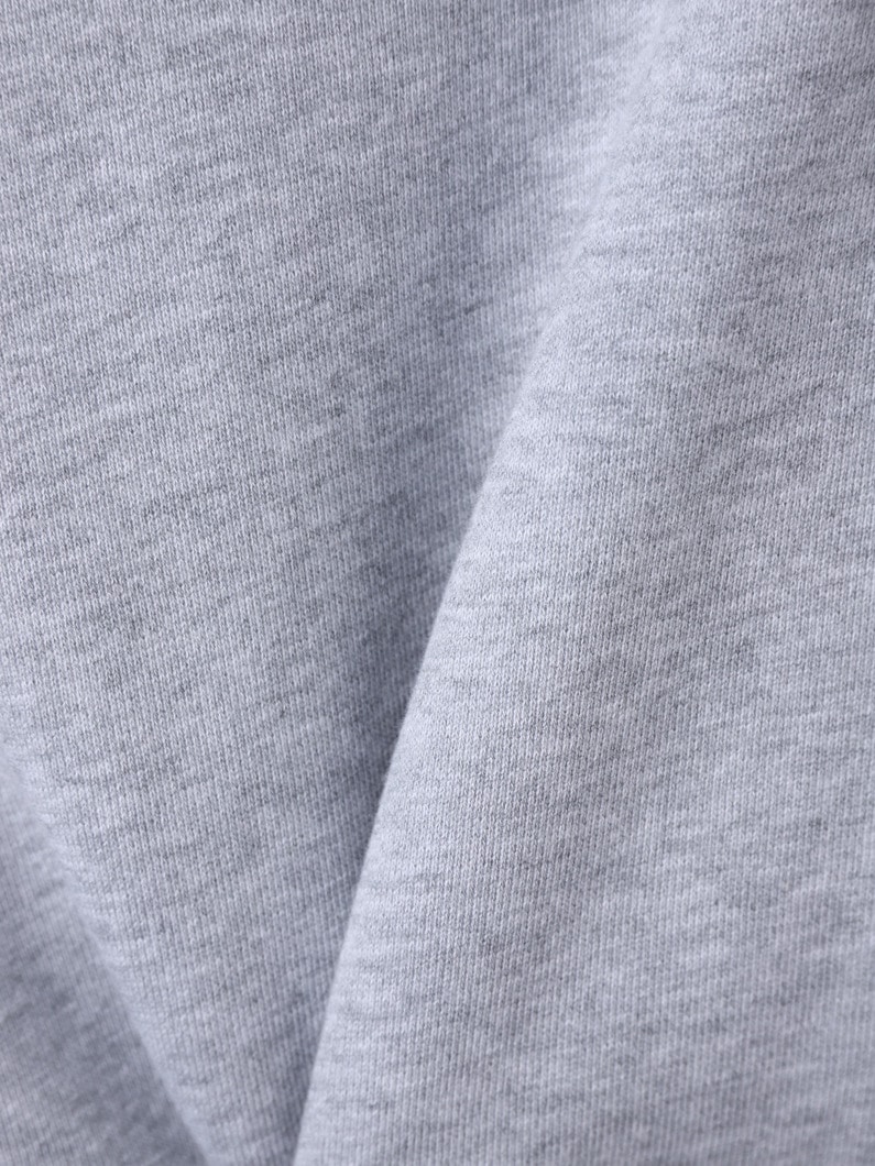 カリフォルニア ヴァリー ホテル スウェット プルオーバー 詳細画像 gray 5