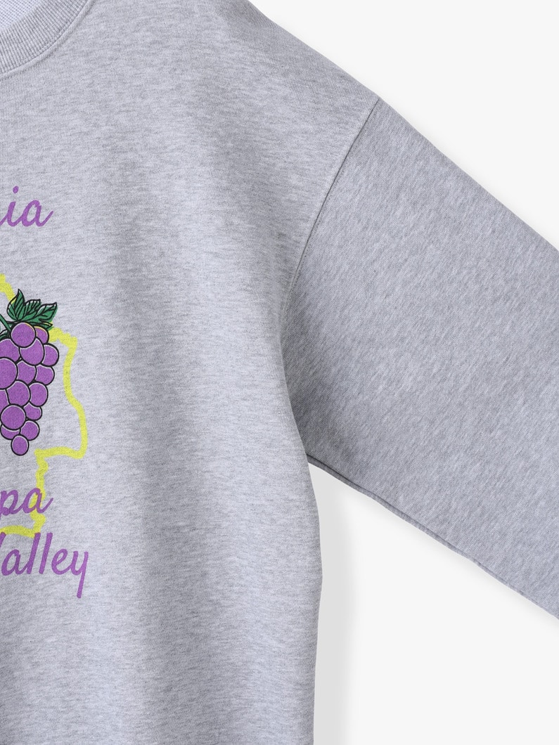 カリフォルニア ナパヴァレー スウェット プルオーバー 詳細画像 white 2