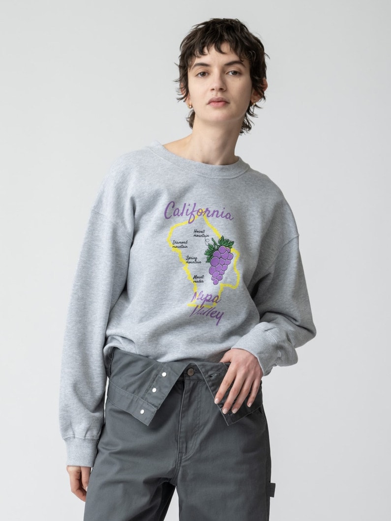 カリフォルニア ナパヴァレー スウェット プルオーバー 詳細画像 gray