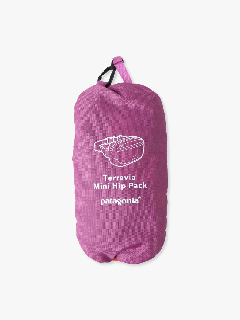 テラヴィア ミニ ヒップ パック（1L） 詳細画像 purple 6