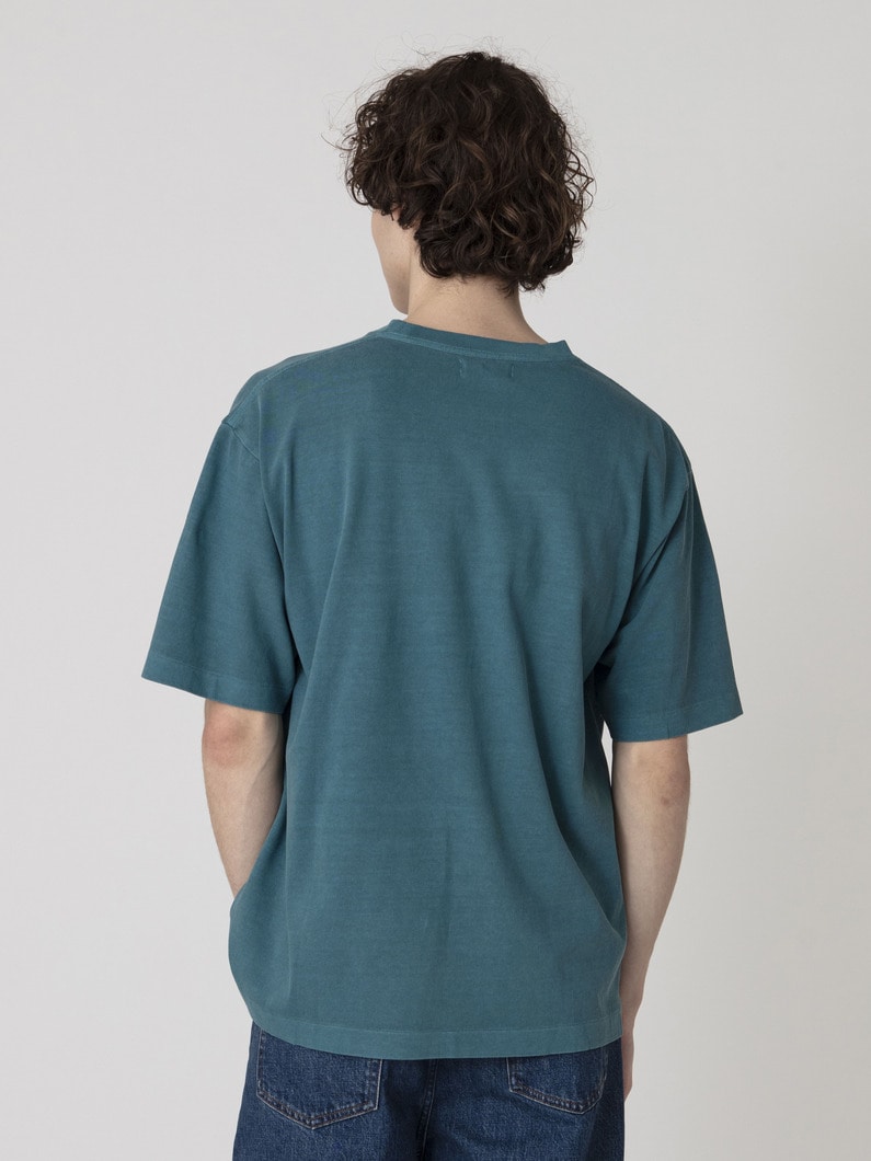 ピグメントダイ ティー 詳細画像 green 2