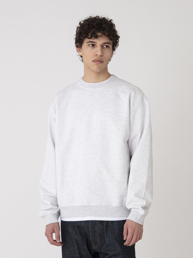 シルケット スウェットプルオーバー 詳細画像 light gray