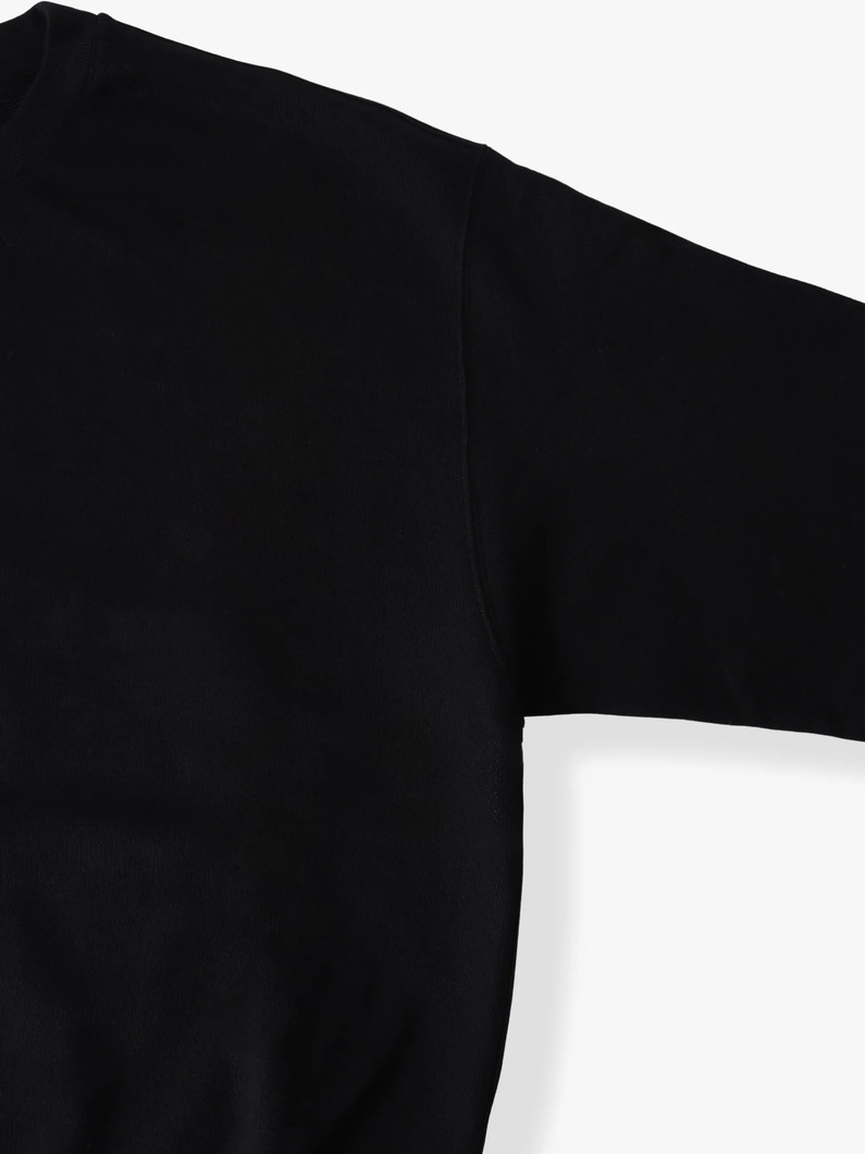 ブラックロゴ スウェットプルオーバー 詳細画像 black/black 2