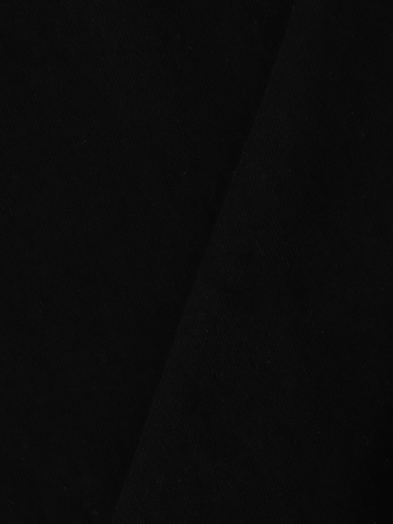 B2 チームロゴ ティー 詳細画像 black 4