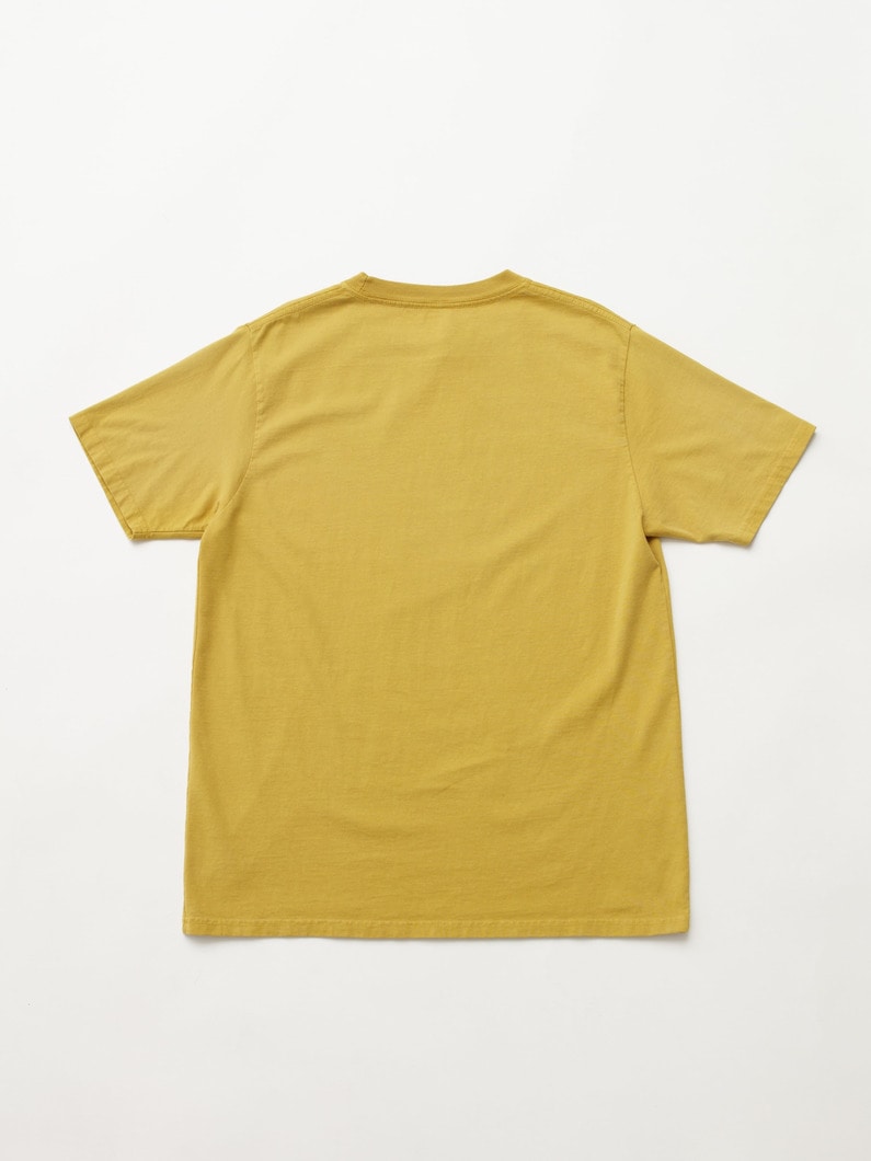 ロゴ ティー 詳細画像 yellow 4