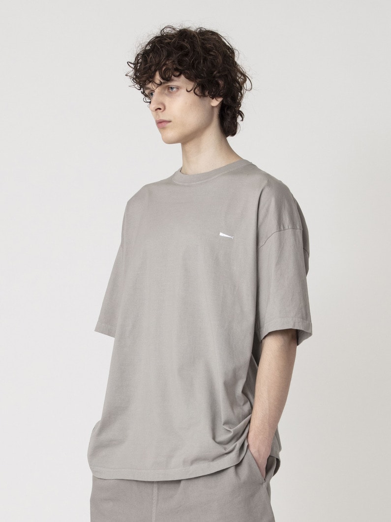 ピグメントダイ カシャロ ティー 詳細画像 gray 1