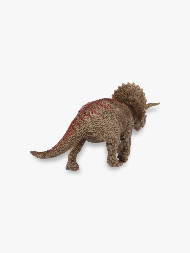 Triceratops Figure 詳細画像 other 2