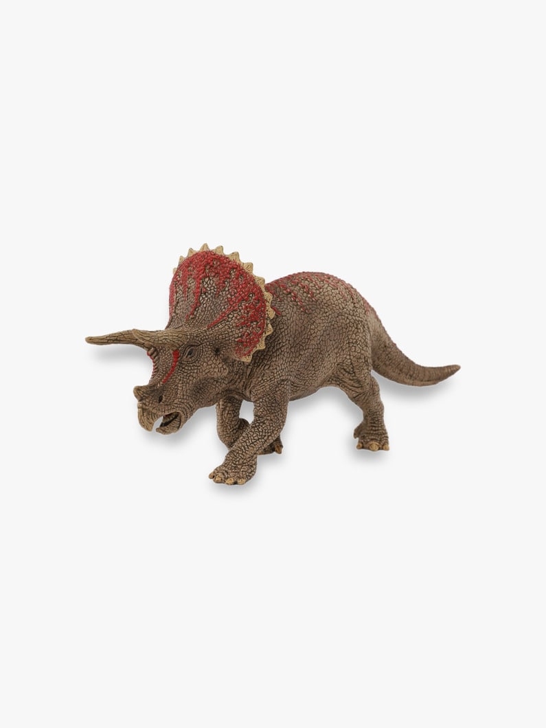 Triceratops Figure 詳細画像 other 1