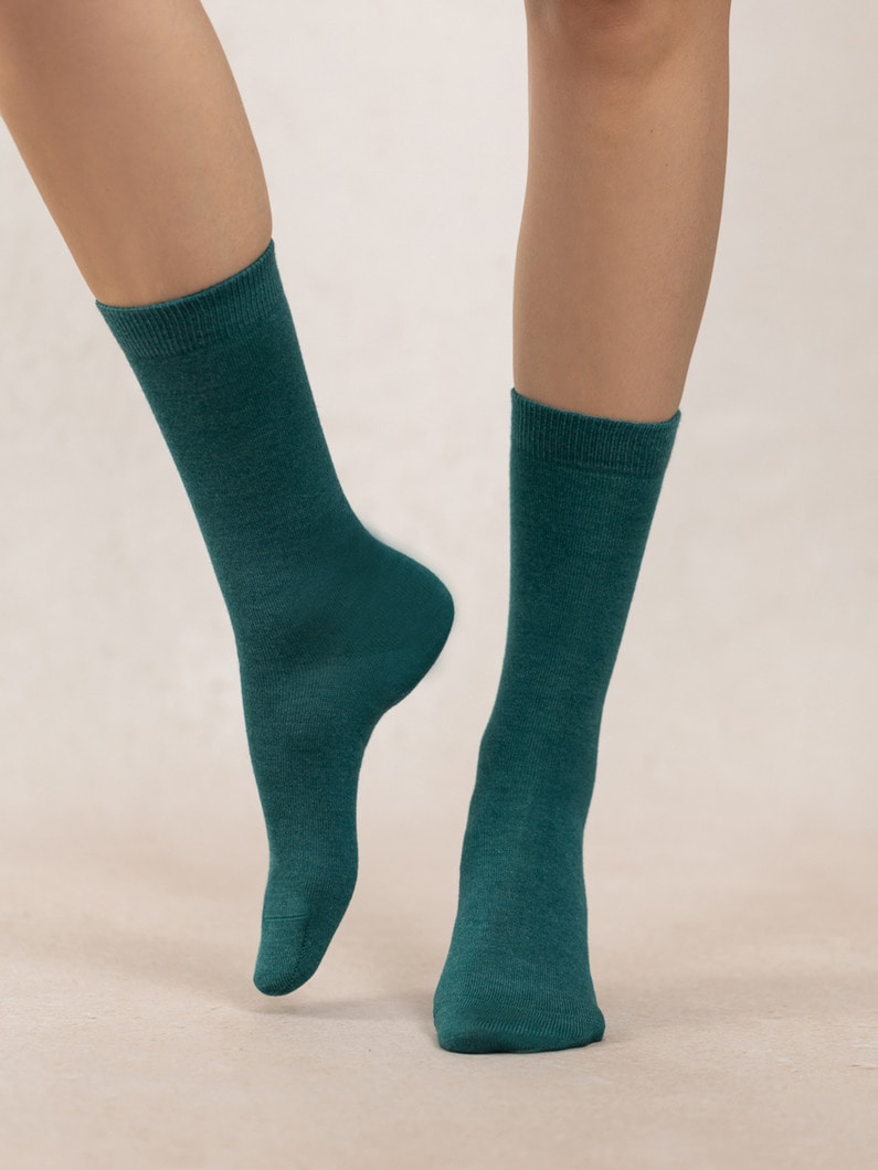 ウールシルク ジャージー ソックス 詳細画像 green