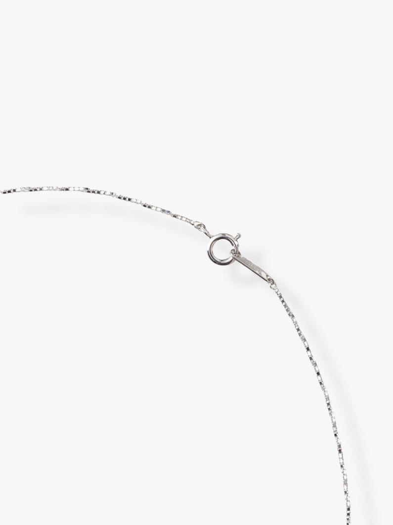 ベビースター ネックレス 詳細画像 silver 3