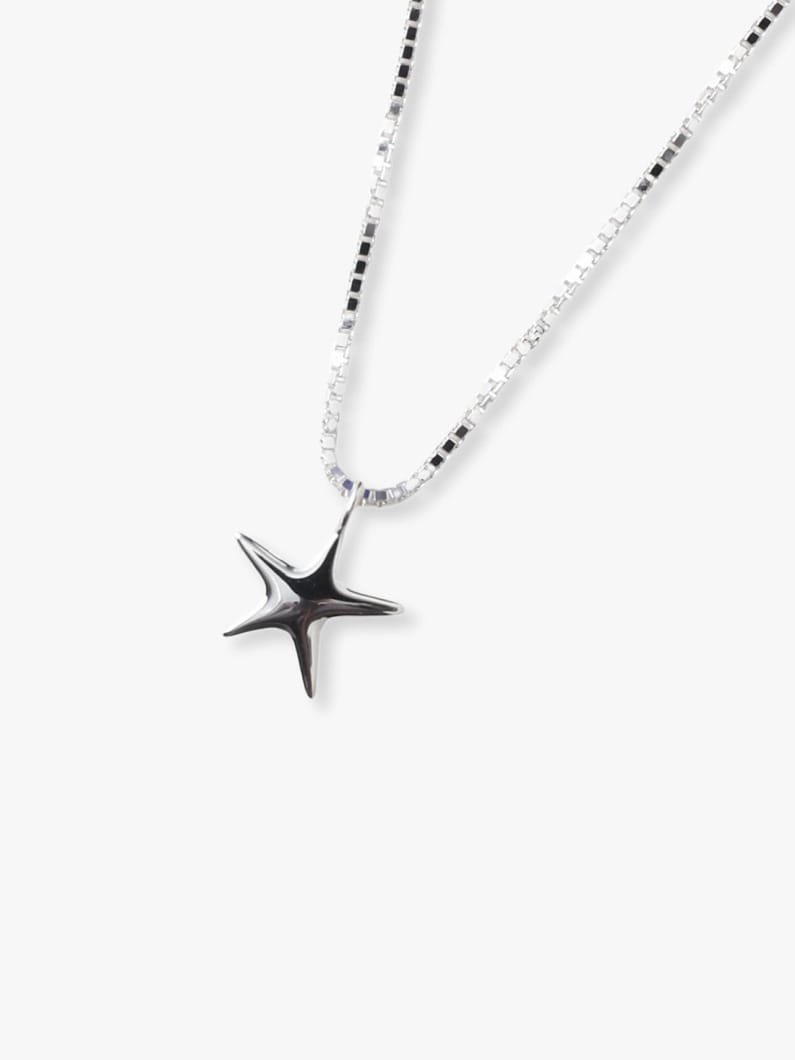 ベビースター ネックレス 詳細画像 silver 1
