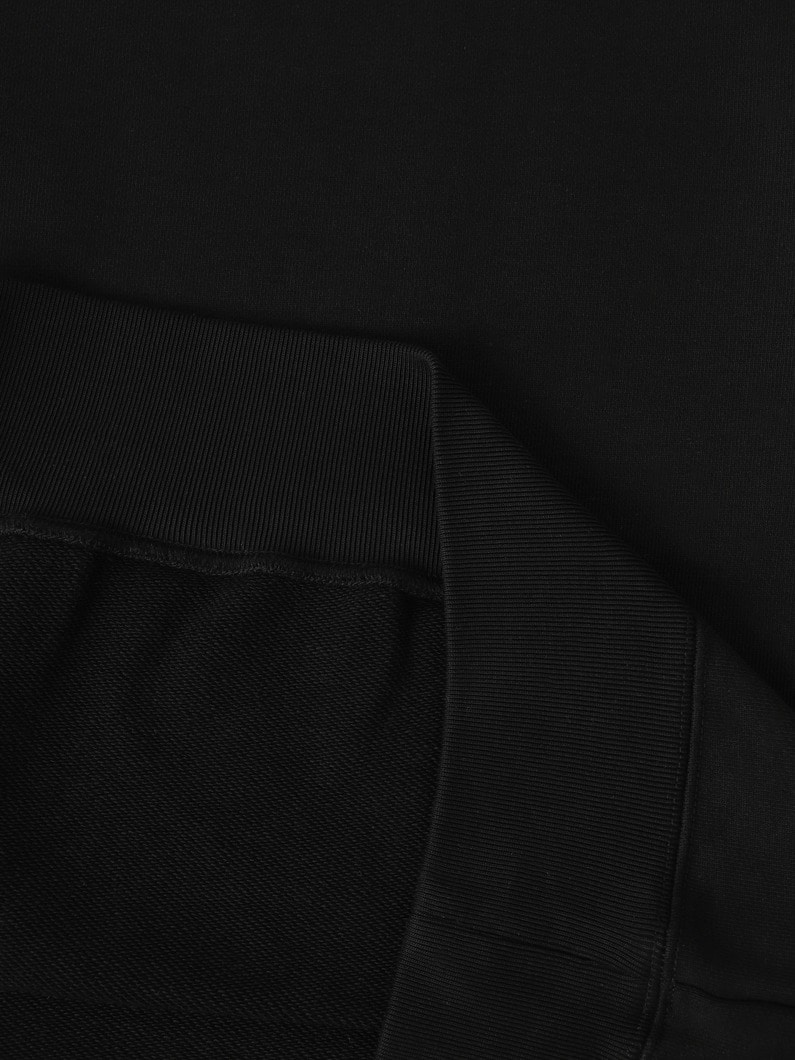 ロゴ スウェットプルオーバー 詳細画像 gray 4