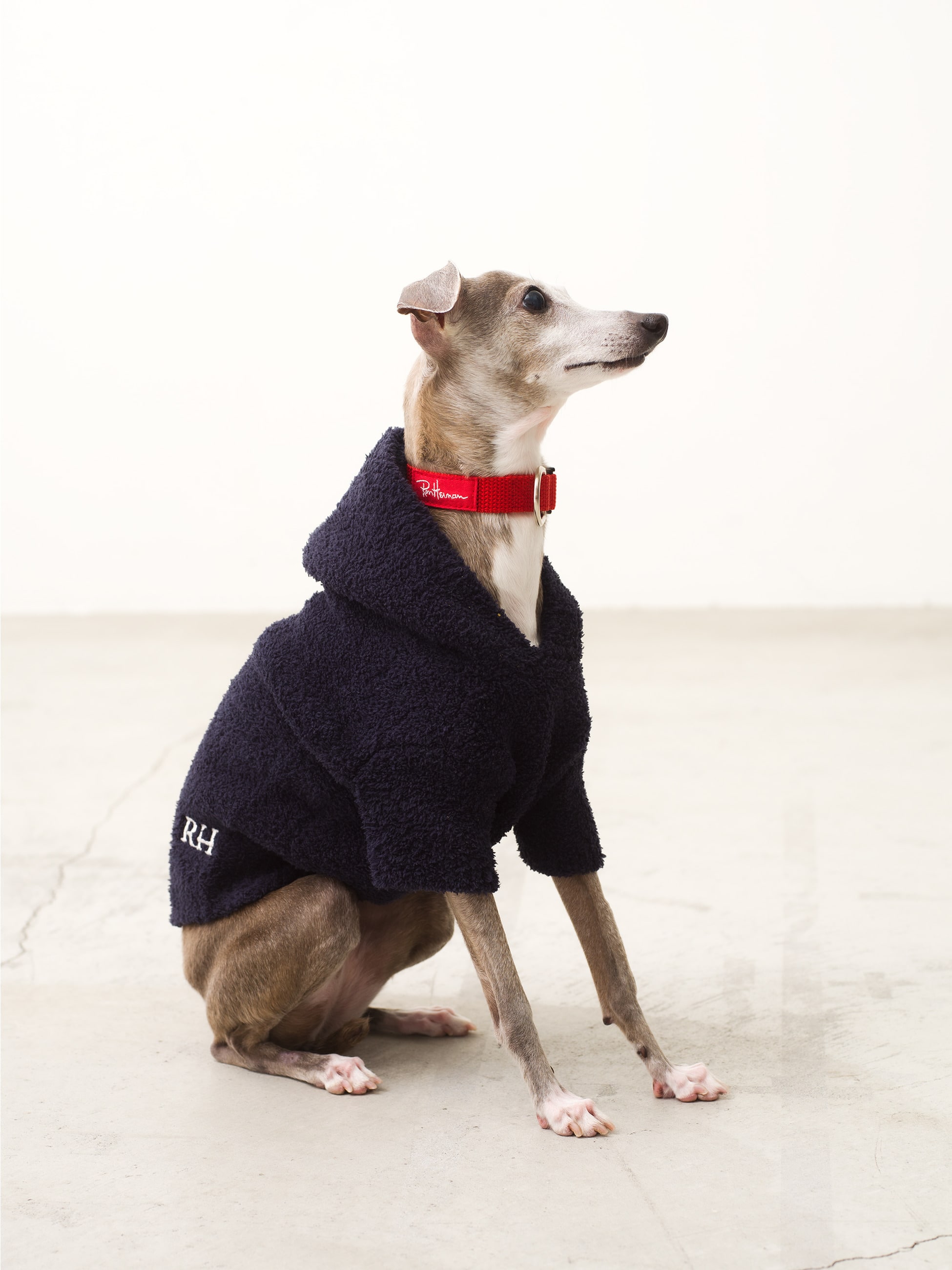 Eco Cozy Chic Pet Knit Hoodie