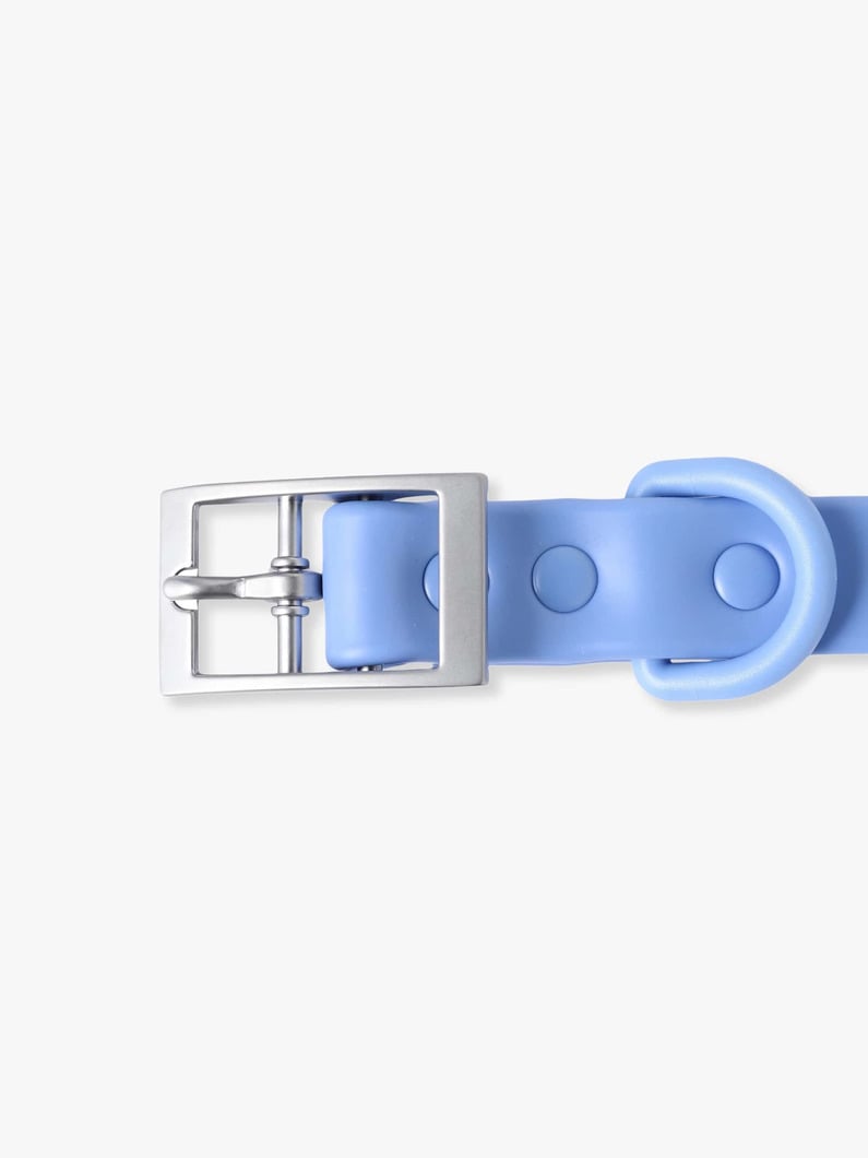 ドッグ カラー（S） 詳細画像 light blue 1