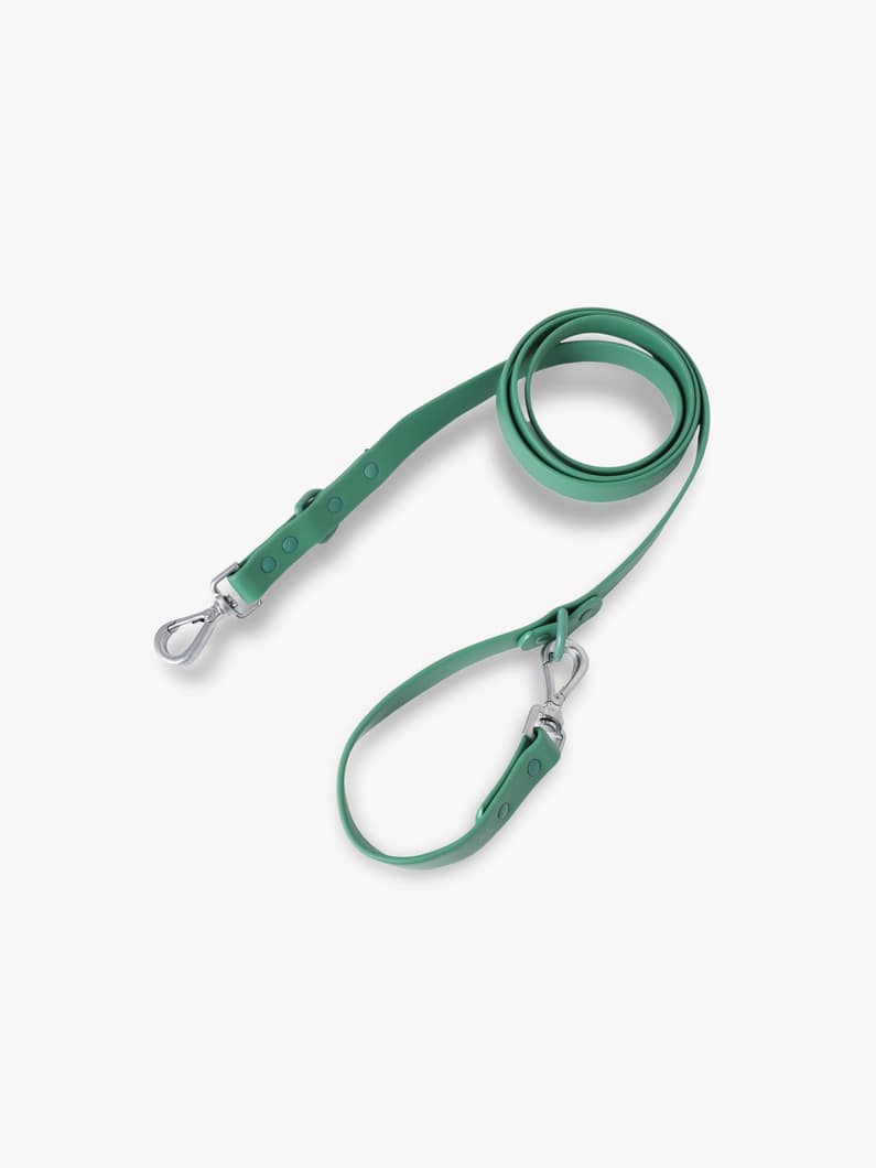 スタンダード リーシュ 詳細画像 green