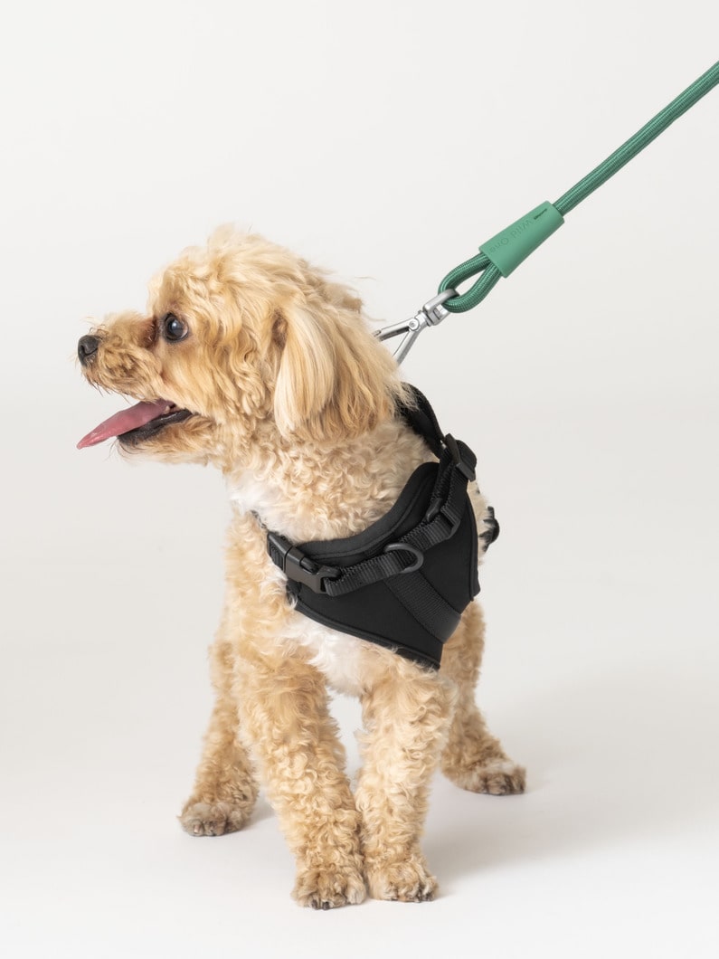 ハンズフリー ロープ リーシュ 詳細画像 black 3