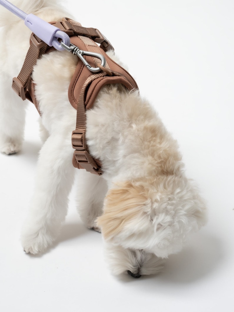 ハンズフリー ロープ リーシュ 詳細画像 black 4