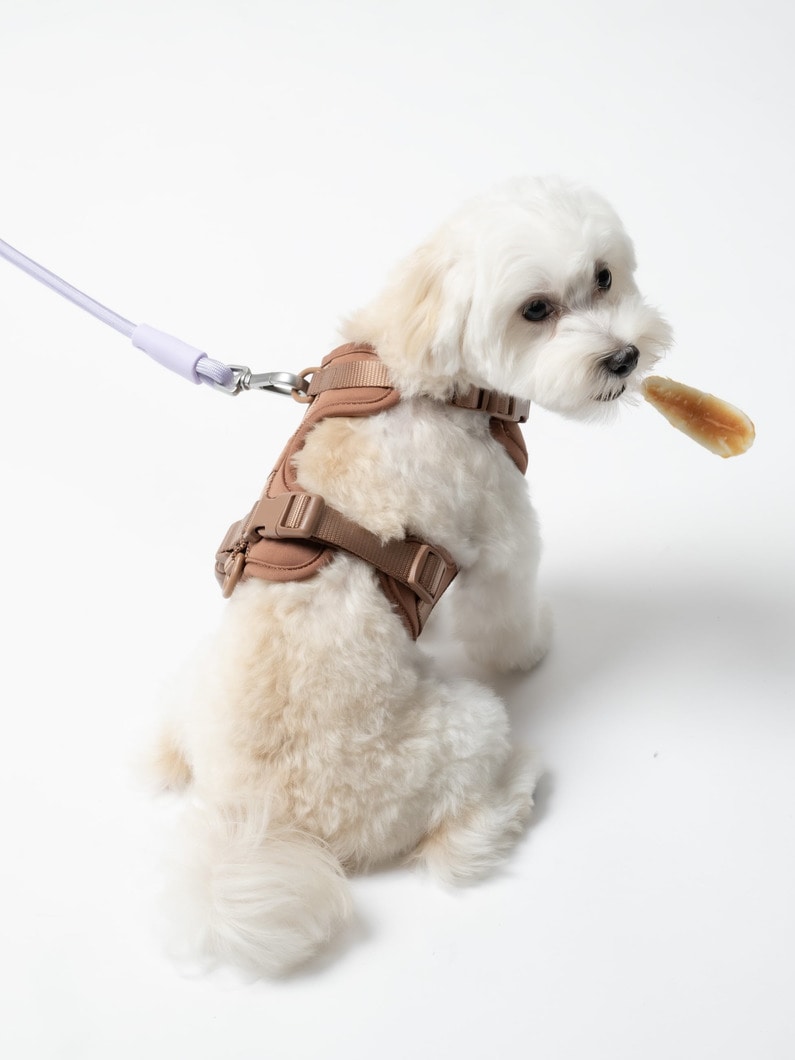 ハンズフリー ロープ リーシュ 詳細画像 black 5