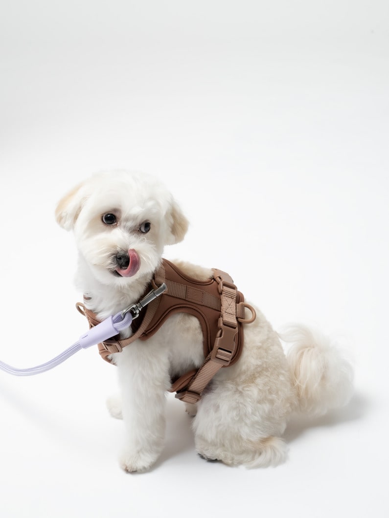 ドッグ ハーネス（XS） 詳細画像 brown 4