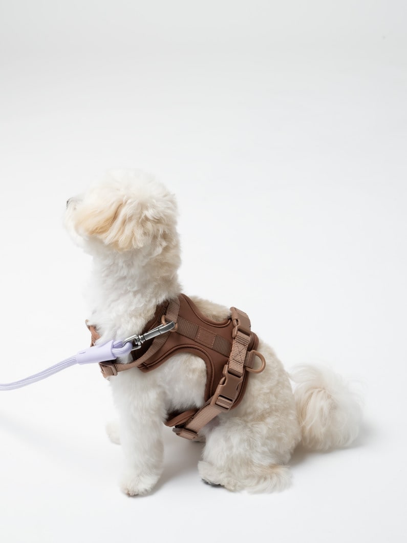 ドッグ ハーネス（XS） 詳細画像 brown 5