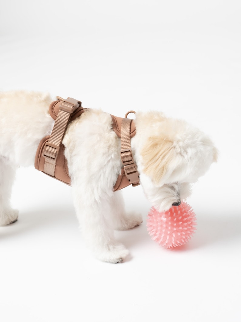 ドッグ ハーネス（XS） 詳細画像 brown 6