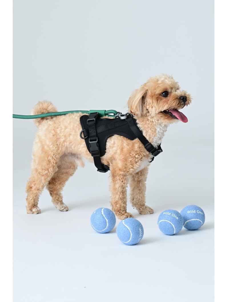 ドッグ ハーネス（XS） 詳細画像 black 2