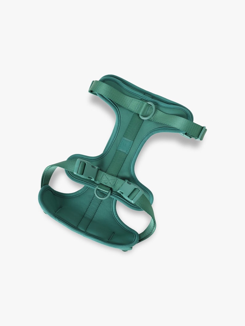 ドッグ ハーネス（L） 詳細画像 green