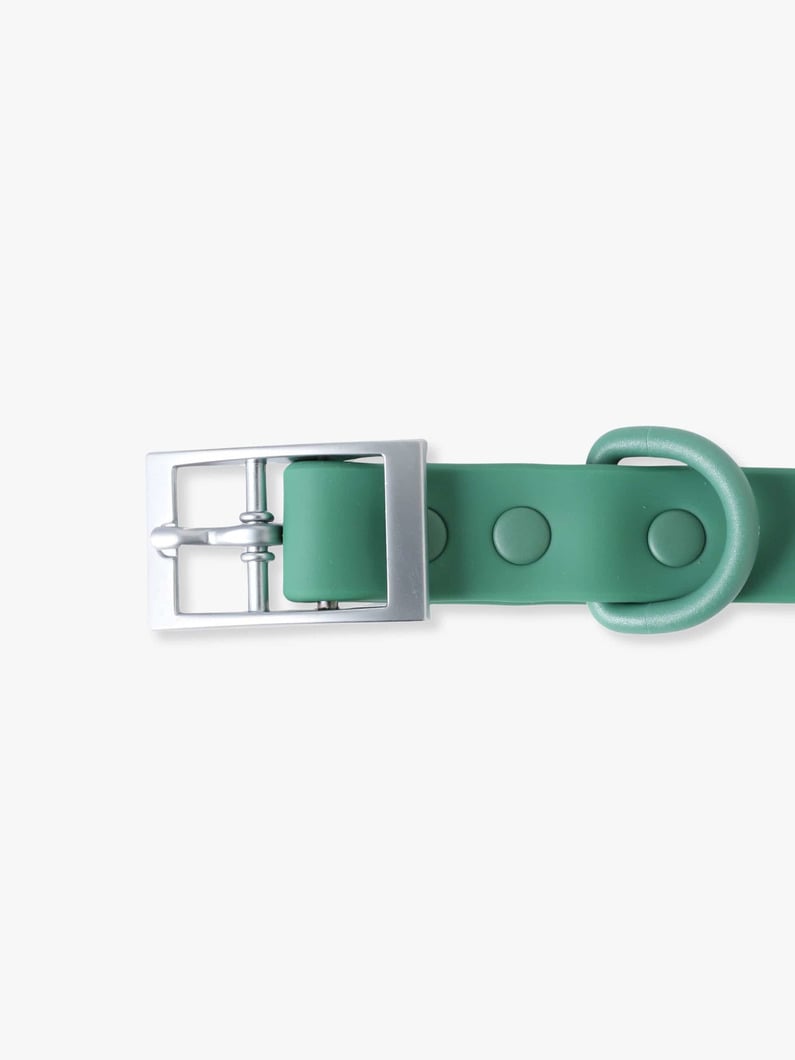 ドッグ カラー（M） 詳細画像 light blue 1