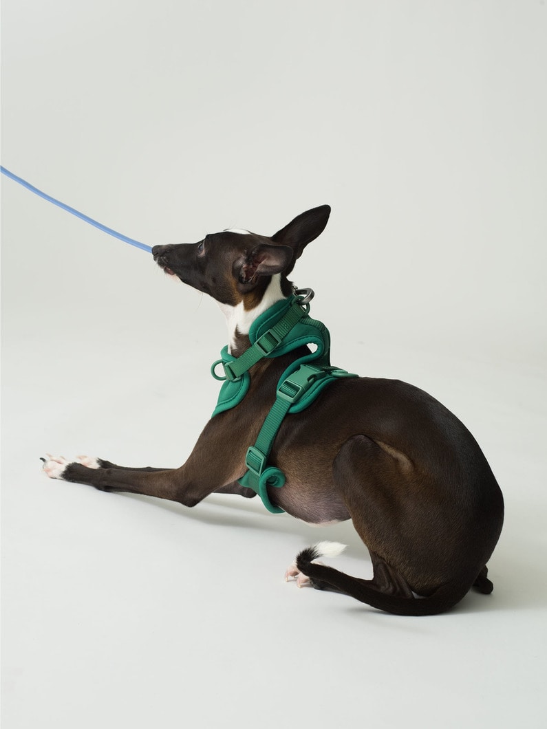 ドッグ ハーネス（S） 詳細画像 navy 4