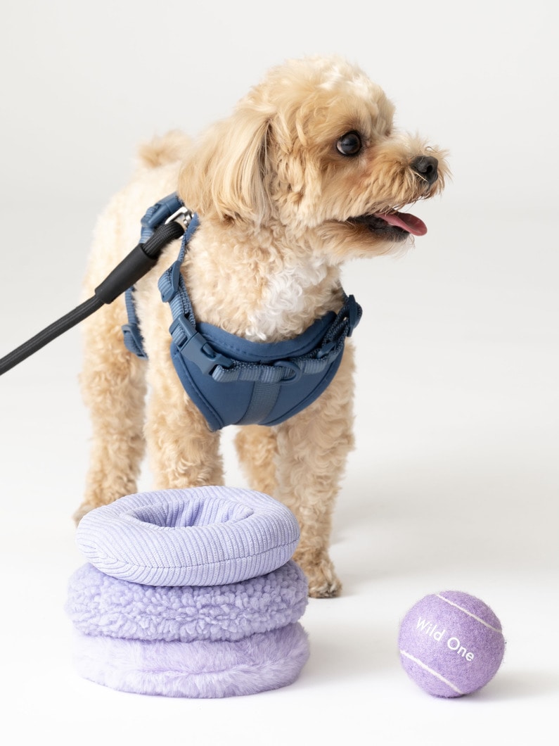 ドッグ リーシュ（S） 詳細画像 black 2