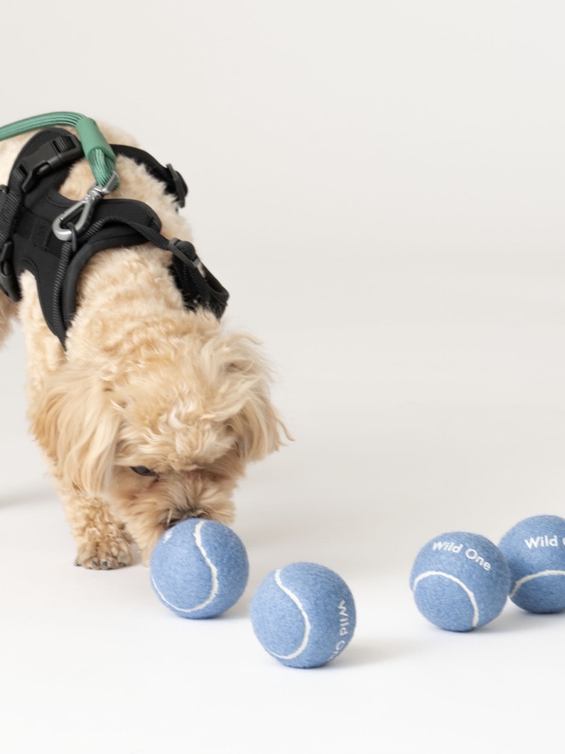 テニスボール（ドッグトイ） 詳細画像 light blue 3