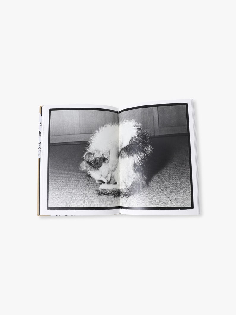 サスケ 詳細画像 other 3