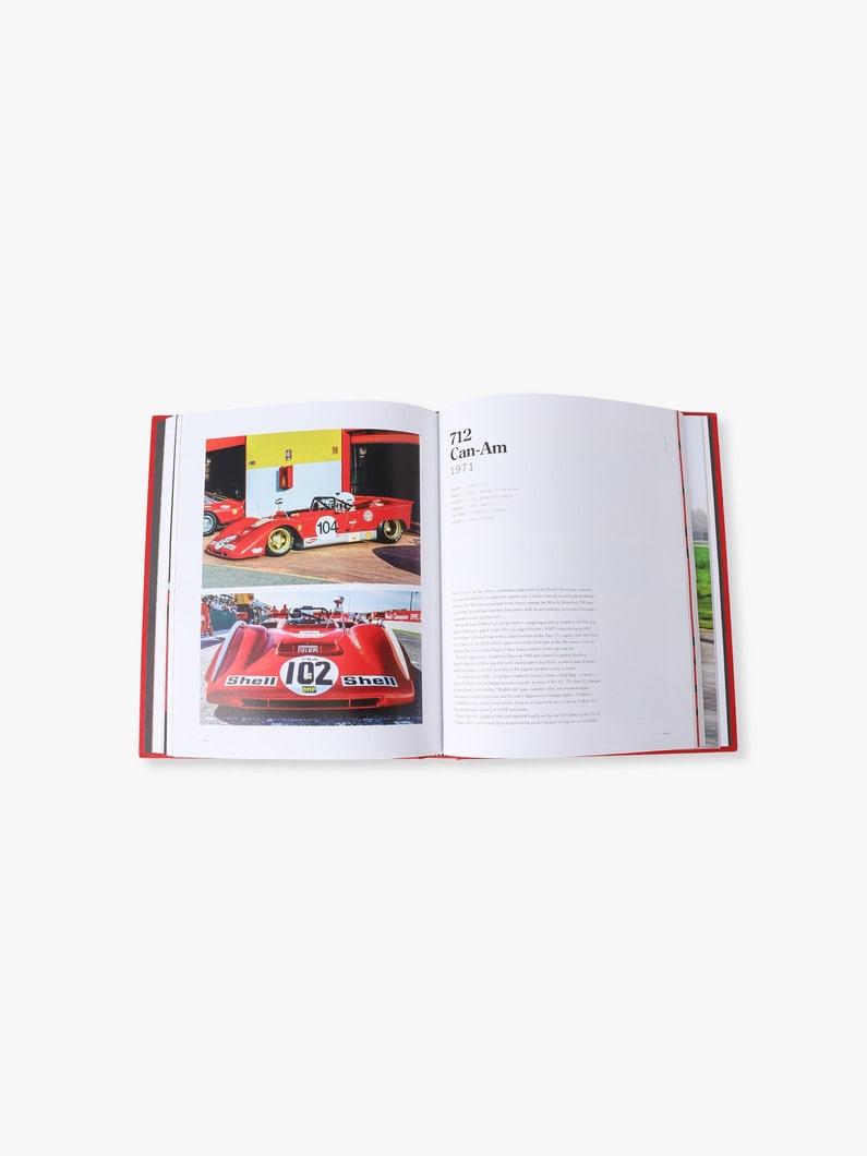 ア ドリーム イン レッド フェラーリ 詳細画像 other 4